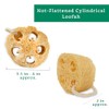 Esponjas 100 Naturales Cuerpo Nuestra Esponja Lufa Natural Está Elaborada
