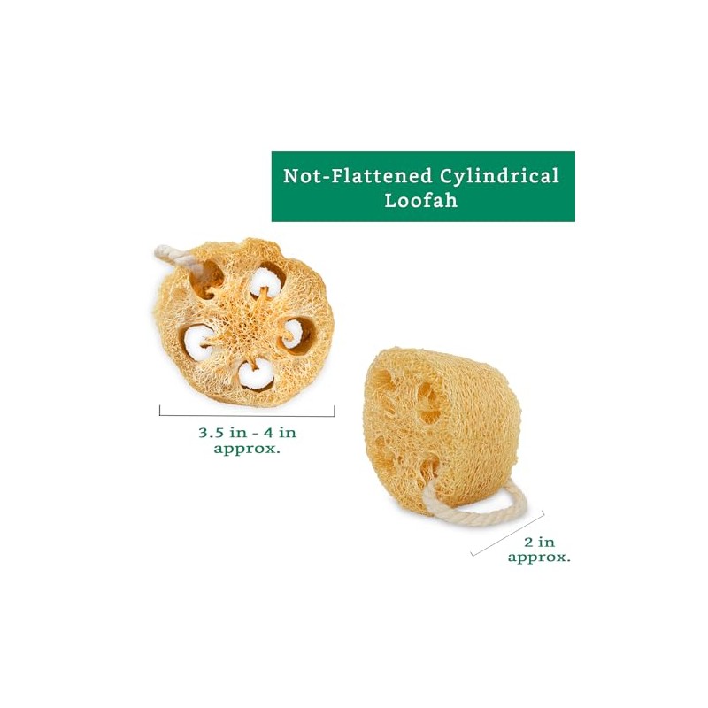 Esponjas 100 Naturales Cuerpo Nuestra Esponja Lufa Natural Está Elaborada