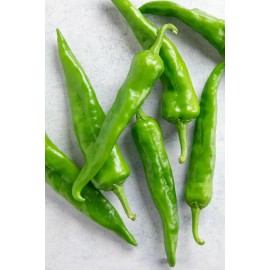 Southeast Seeds Hatch Sandia Chili Pepper Seeds, NuMex, Hot Green Chile, Ristra, FREE SHIPPING - 16k Seeds or 1/4 LB