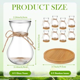 FoldTier Glass Bulb Vases for Flowers Forcing Hyacinth Clear Vase Decorative Bulb Vase with Round Bamboo Coaster for Home Office Table Decoration(8 Pcs)