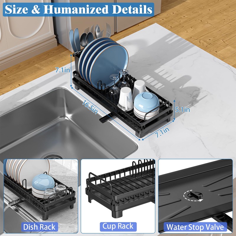CHLORYARD Small Dish Drying Rack, Compact Sink Dish Drainer Plate