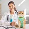 Avont Cat Recovery Suit - Kitten Onesie for Cats After