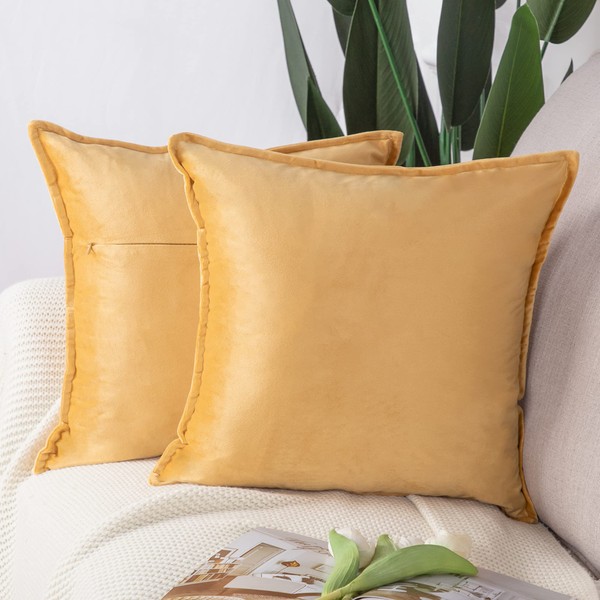 MADIZZ Set of 2 Super Soft Velvet Decorative Throw Pillow