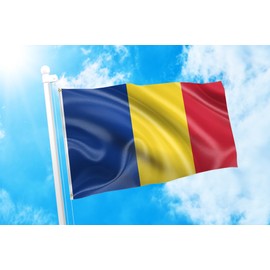 DMSE Romania Romanian National drapelul României Flag 3X5 Ft Foot 100% Polyester 100D Flag UV Resistant -