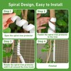 Tree Trunk Protector 4PCS 2 Size PP Spiral Tree Wrap