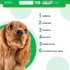 Probioticos Para Perros Masticables 30tabletas Sabor A Pato