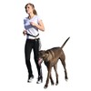 Kerbl Running Leash with Adjustable Waist Belt