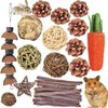 Juguetes para Masticar hámster, 24 Piezas