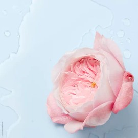 Nuxe - Very Rose - Agua Desmaquillante Micelar