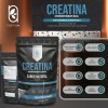 Creatina Monohidratada 100% Pura Sin Sabor 3 Pack 500g