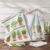 Erwin Müller Tea Towel Pack of 3 Cotton Herbs Size