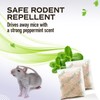 Mouse Rodent Repellent Peppermint Oils: Rate/Spiders/Moths/Ants/Roaches/Silverfish Deterrent - Squirrel Repellent