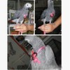 Bonaweite 2 Pack Adjustable Harness Leash, Pet Birds Nylon Anti-bite