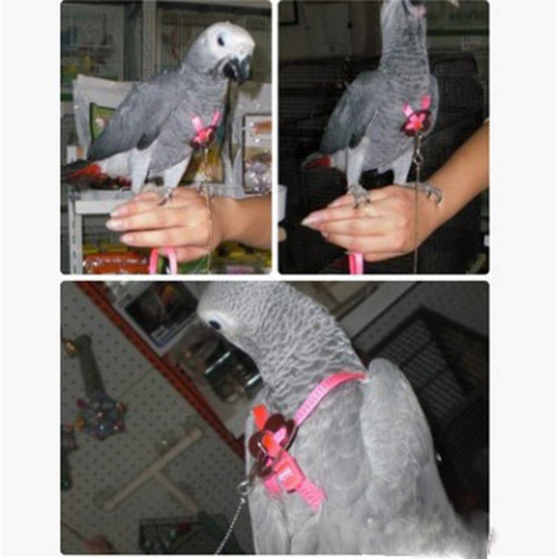 Bonaweite 2 Pack Adjustable Harness Leash, Pet Birds Nylon Anti-bite