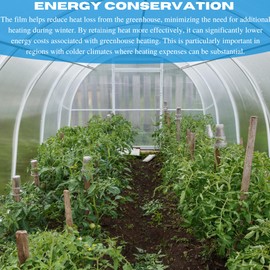 VBS - Protective Clear Overwintering Plastic Film - Overwintering Film, 6 Mil Clear Plastic Film, Greenhouse Plastic, Durable Plastic Sheeting, Clear Overwintering Film (6 mil 10' x 100')