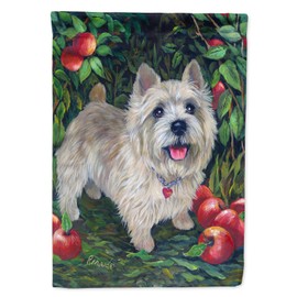 Caroline's Treasures PPP3116GF Norwich Terrier Apple Grove Garden Flag Mailbox Flag Decorative Yard Flag Banner Outside Patio Artwork Yard Flower Beds, Garden Size, Multicolor