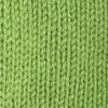Patons Canadiana Yarn, Cherished Green
