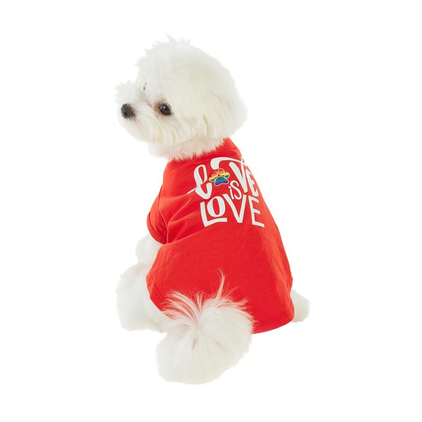 Best Furry Friends T-Shirt for Dogs, Love is Love, X-Small