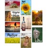 the lazy panda card company 80 Postive and Motivational Postcards