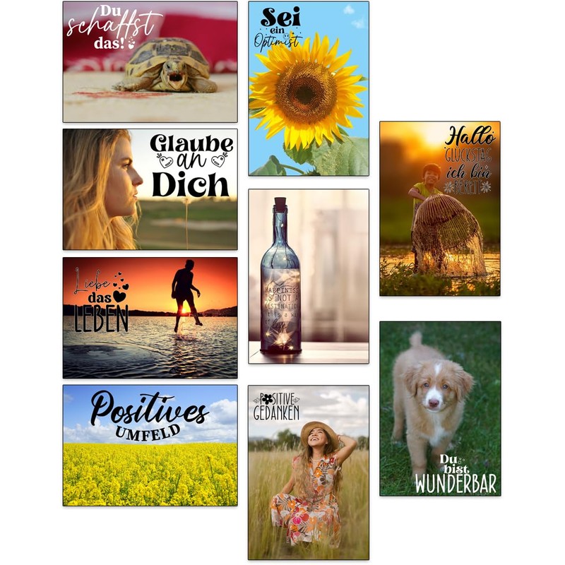 the lazy panda card company 80 Postive and Motivational Postcards