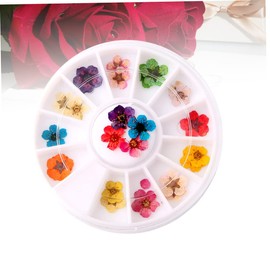 Healeved Colorful Dried Flowers Nail Art Supplies Color Plum Blossom Stickers for Manicure Designs for Nail Art Enthusiasts and Professionals