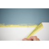FROGTAPE CF 160 Multi-Use Painter's Tape with PAINTBLOCK for Delicate