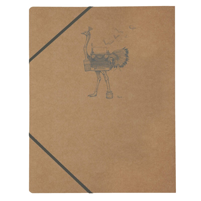 Clairefontaine 103514C - Pack of 5 Flying Spirit Collector's Folders