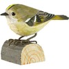 Goldcrest 70 x 50 x 75