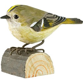 Goldcrest 70 x 50 x 75
