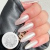 Boozyshop Chrome Bubble Nail Set Silver