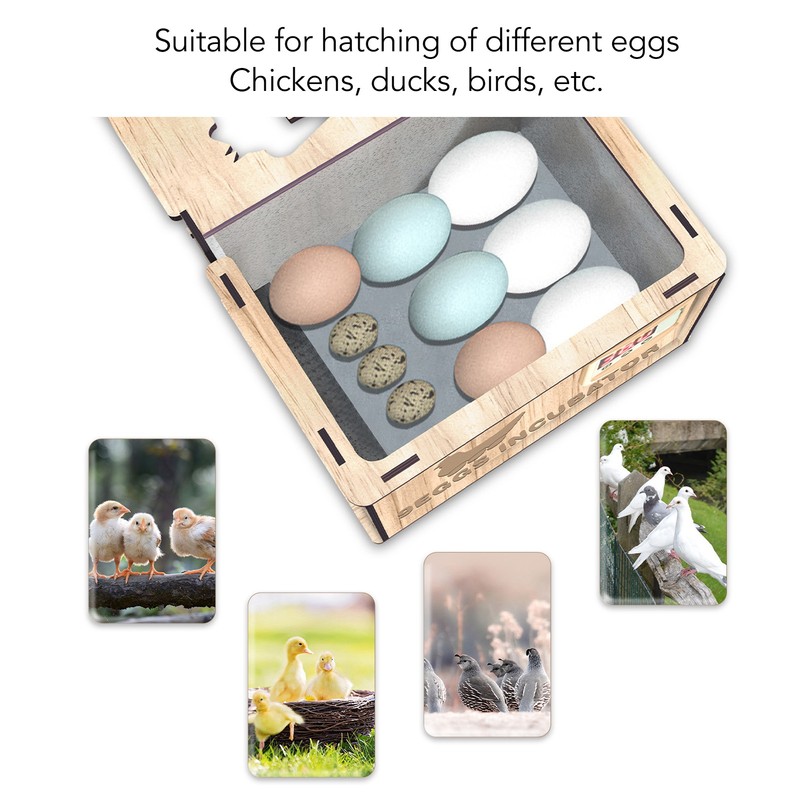 9 Egg Incubator Smart Pine Wood Efficient Thermostat Water Bed