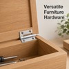 Flat Metal Hinges for Cabinets & Wooden Boxes – 360