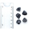 Snowflake Obsidian Mini Crystal Tumbled Stones - 10 Pc