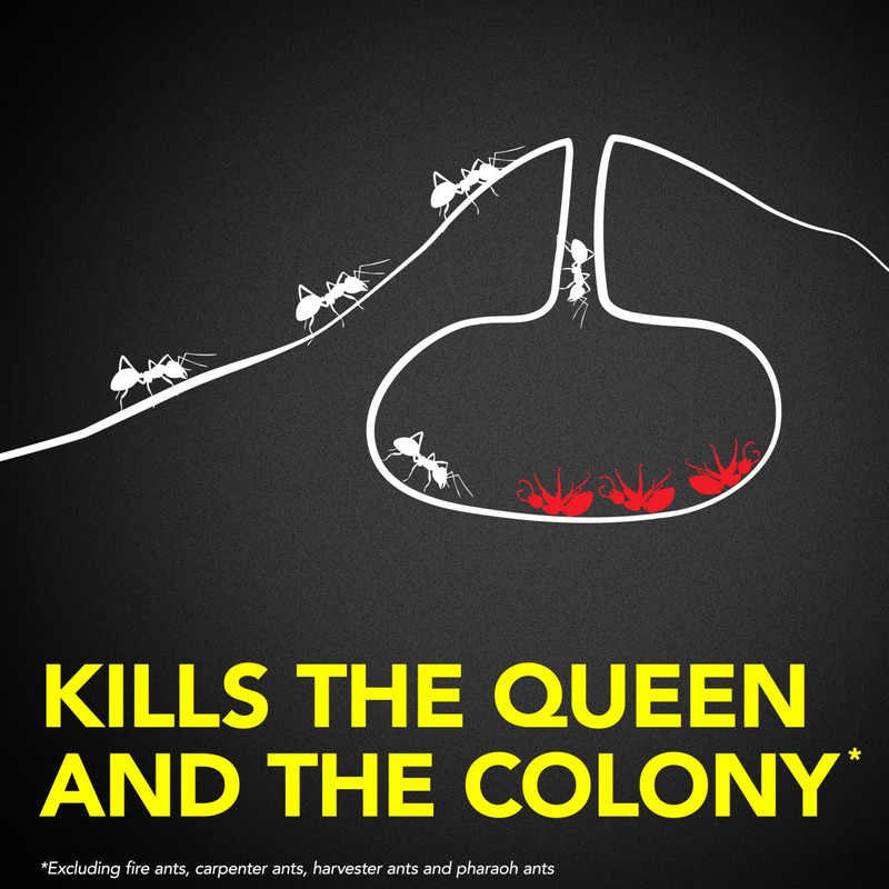 Raid Ant Killer Baits, Child Resistant Bug Killer for Indoor