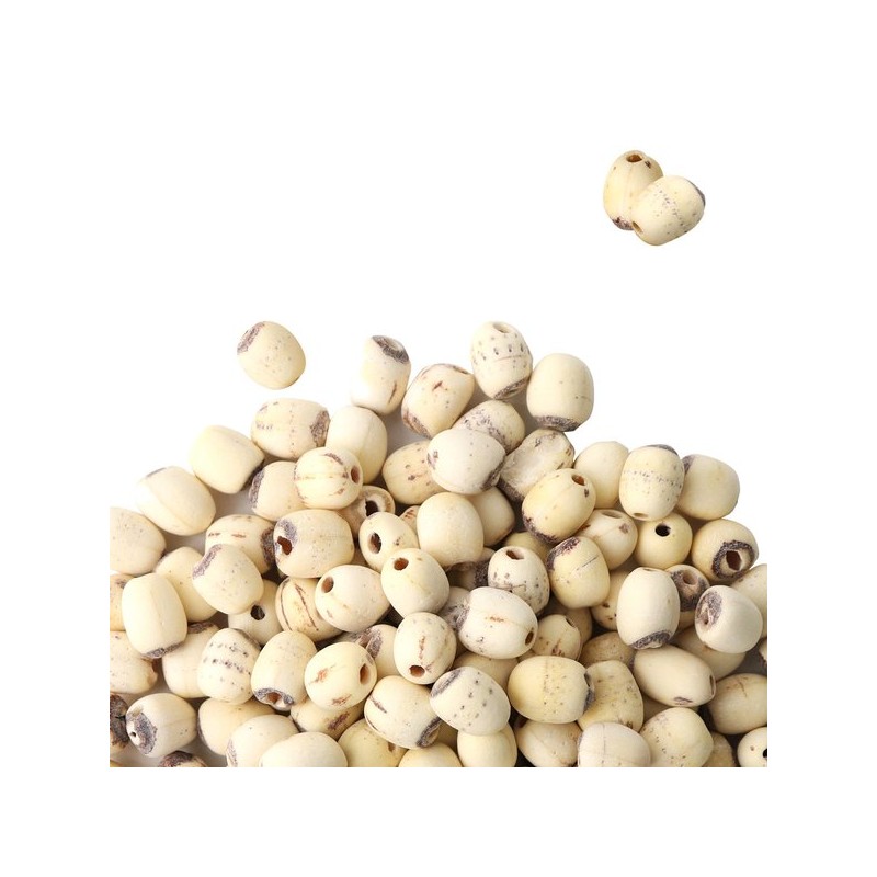 Donguihanjae 동의한재 껍질깐 연자육 연꽃씨 1kg 1kg Peeled Lotus Seeds