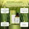 Aceite Esencial De Citronela Puro 15ml Para Difusor Y Aroma