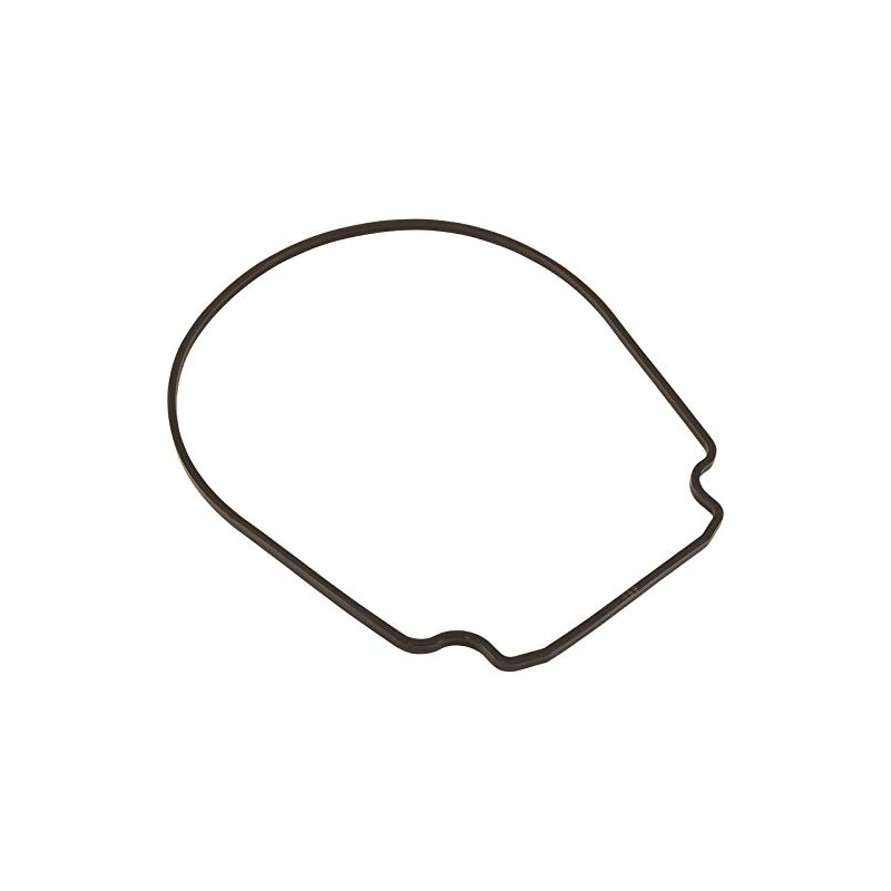 Pentair 357100 Black Seal Plate Gasket Replacement Pool and Spa