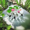 20pcs Bowl Lotus Seeds for Planting - Bonsai Lotus Seeds,