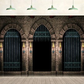 10x8ft Palace Interior Backdrop Dungeons Prison Jail Iron Gate Arch Dark Architecture Background Happy Birthday Party Supplies Wall Decor Adult Kids Portrait Photography Photo Studio Props