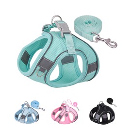 Solmoony Dog Harness for Small Medium Large Dogs No Pull, Puppy Harness and Leash Set, Puppy Harness, Step in Harness for Small Dogs,mesh Dog Harness. (Green, XXS)