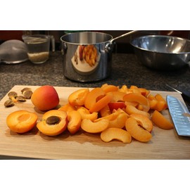 Unbranded Dwarf Apricot Tree{Prunus armeniaca}Orga