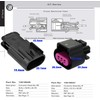 Aptiv 3-Pin GT 150 Series Sealed Connector Set with 18