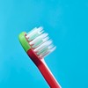 Brush-Baby Dinosaur FlossBrush™ Bristles Toothbrushes 3-6 Years - Pack of