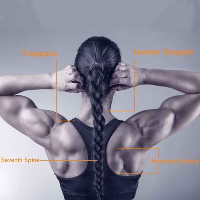 Fitness Head Neck Harness for Strength Training with Chain Adjustable