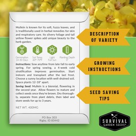 Mullein Seeds for Planting - Verbascum Thapsus Medicinal Biennial Herb with Tall Yellow Flowers - Heirloom Non-GMO Open Pollinated Pollinator Friendly - Survival Garden Seeds (5 Pack)