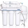 Post-filtro mineralizzante BWT PD2010BWT per sistemi ad osmosi inversa standard