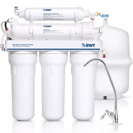 Post-filtro mineralizzante BWT PD2010BWT per sistemi ad osmosi inversa standard BWT a 5 stadi 75DPG
