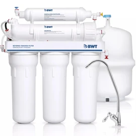 Post-filtro mineralizzante BWT PD2010BWT per sistemi ad osmosi inversa standard BWT a 5 stadi 75DPG