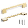 Southern Hills 5pc Brushed Gold Cabinet Pulls - (128mm) SH3229-128-NSG