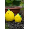 Petface Foodie Faces Latex Lemon Dog Toy with Built-In-Squeaker, Large
